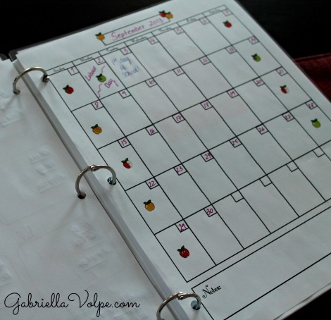 monthly calendar in planner