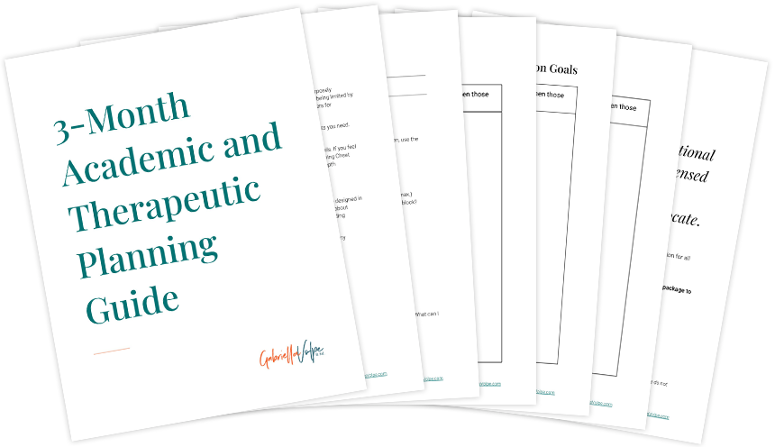 3- Month Academic and Therapeutic Planning Guide Mockup