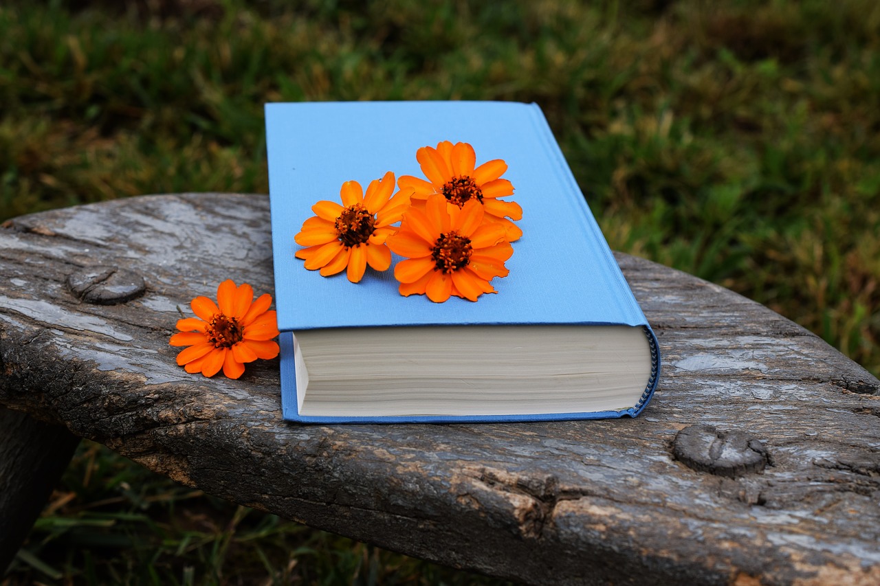 Freebie: Your 3-Month Planning Guide for Home Educating