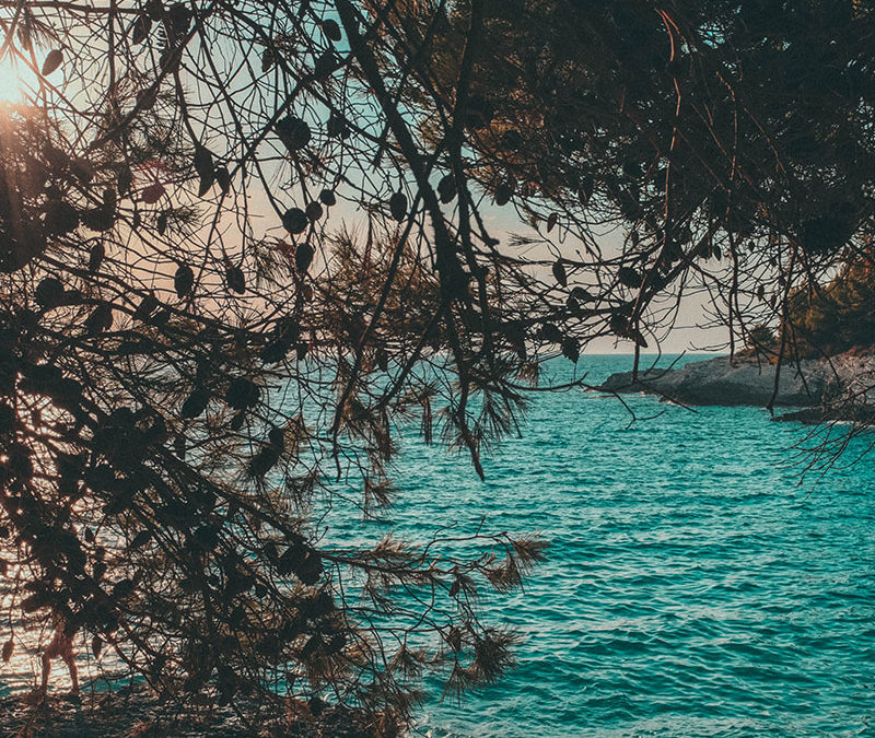 On the Receiving End of Ableism