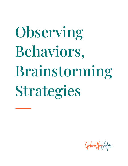 Observing Behaviors, Brainstorming Strategies