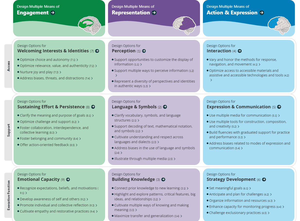 Universal Design for Learning Guidelines as per CAST website