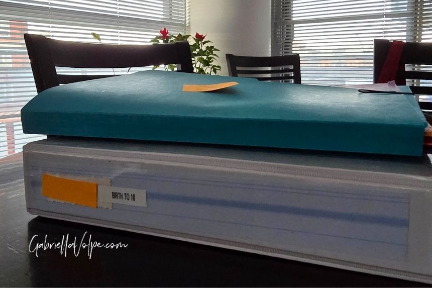 File folder in organization system