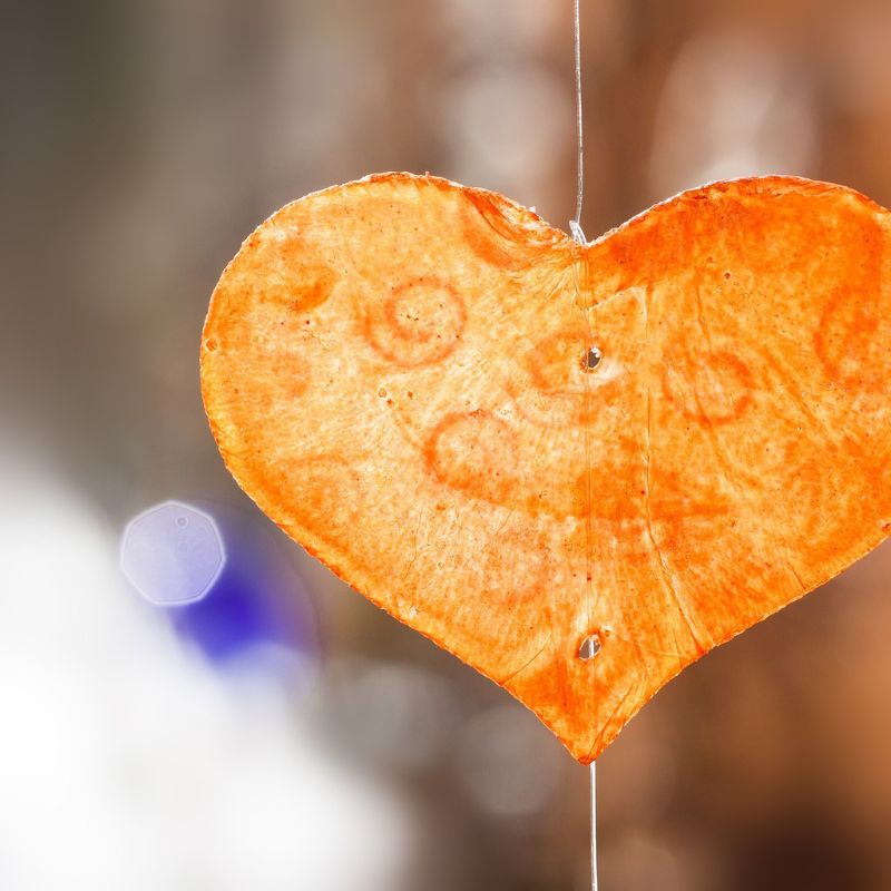 Parents as Love Therapists